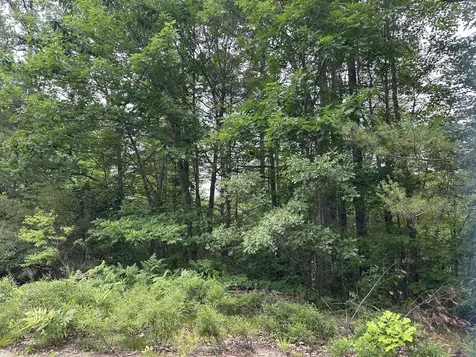 M 7 L 5-5 Blandings Lane Shapleigh ME 04076
