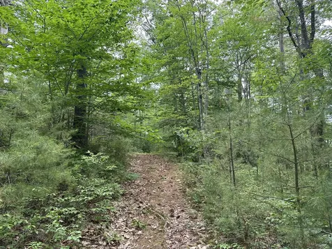 M 7 L 5-5 Blandings Lane Shapleigh ME 04076