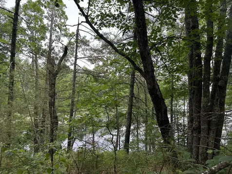 M 7 L 5-5 Blandings Lane Shapleigh ME 04076
