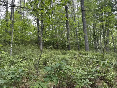 M 7 L 5-5 Blandings Lane Shapleigh ME 04076