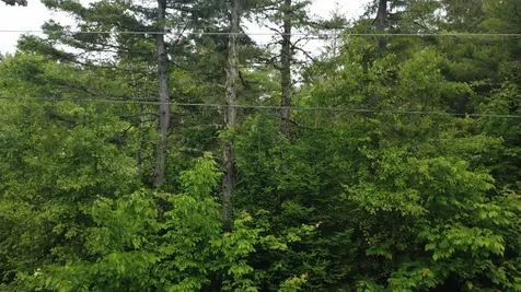 Lot 6.3 Houlton Road Brookton Twp ME 04413