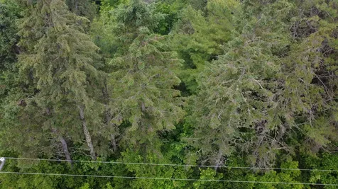 Lot 6.3 Houlton Road Brookton Twp ME 04413