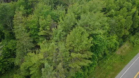Lot 6.3 Houlton Road Brookton Twp ME 04413