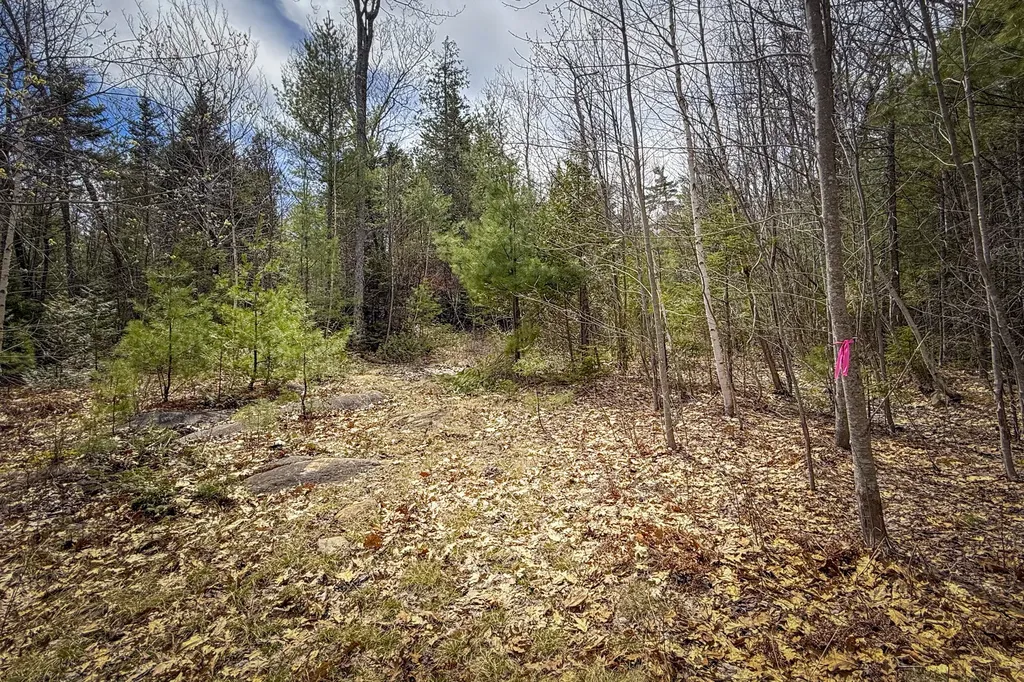 2030 Atlantic Highway Lincolnville ME 04849