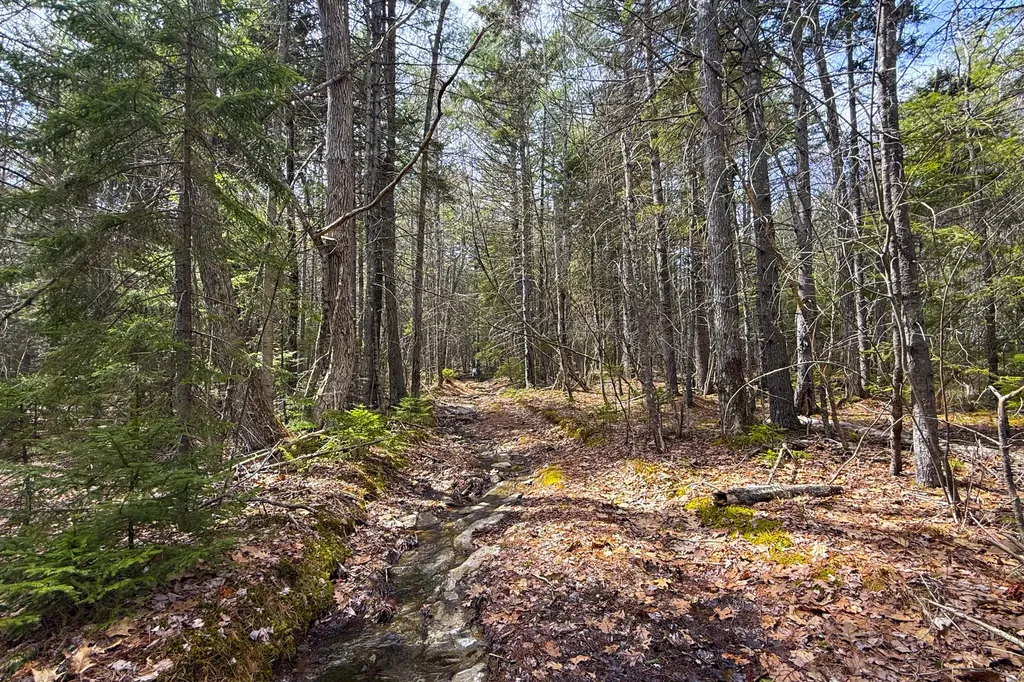2030 Atlantic Highway Lincolnville ME 04849