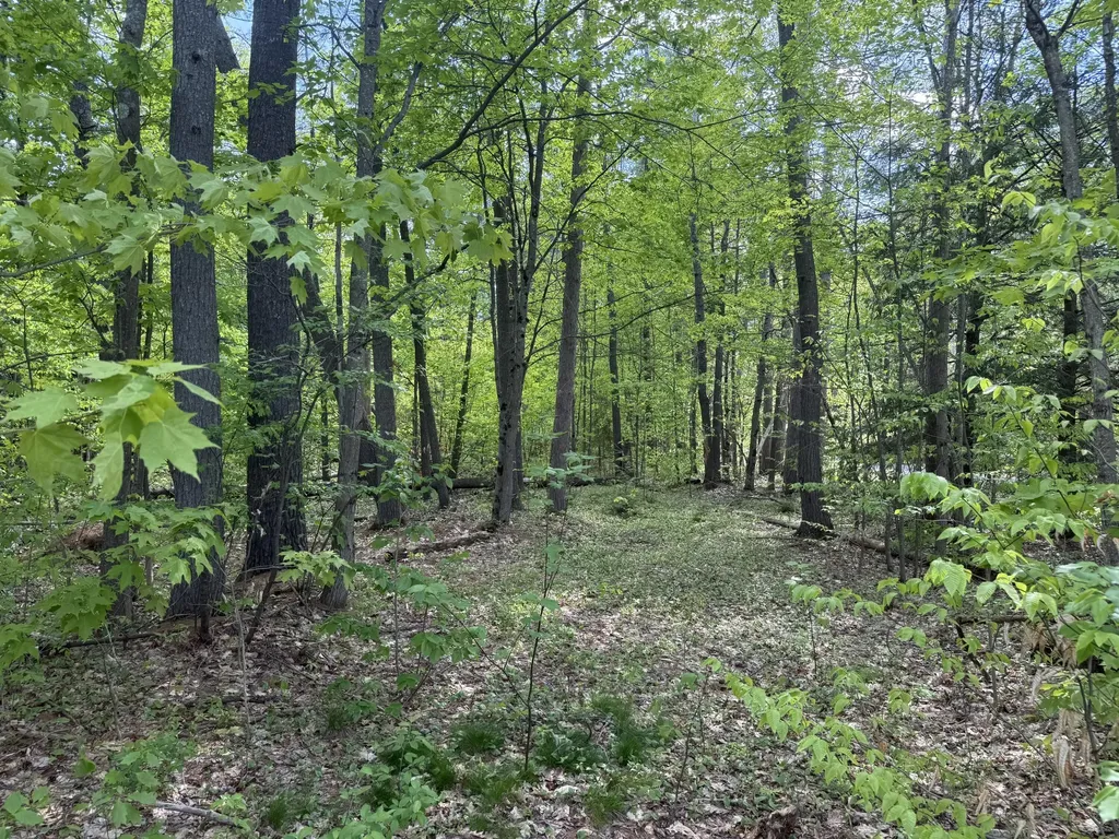 190 Barker Road Bethel ME 04217