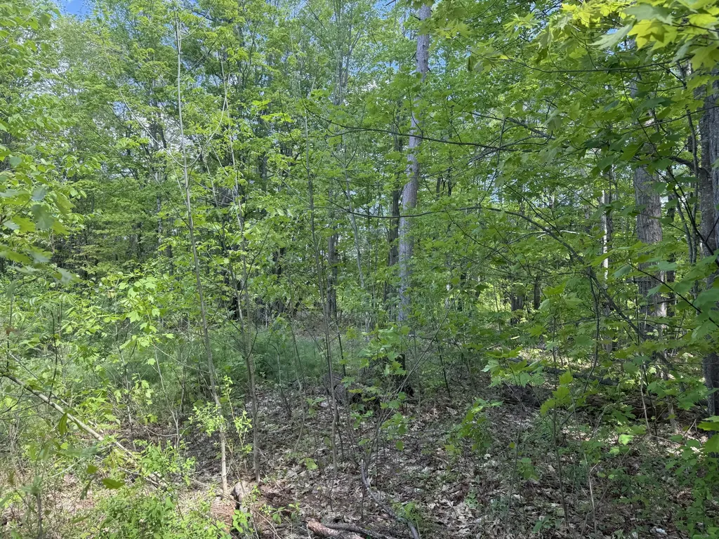 190 Barker Road Bethel ME 04217