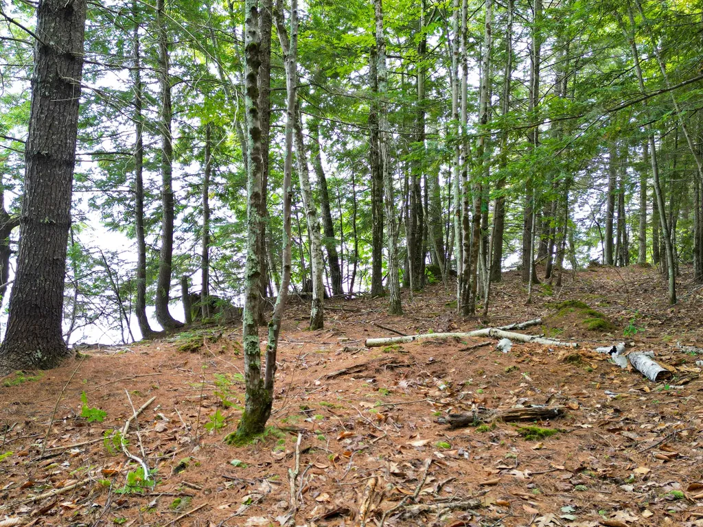 0 Osprey Point Belgrade ME 04917