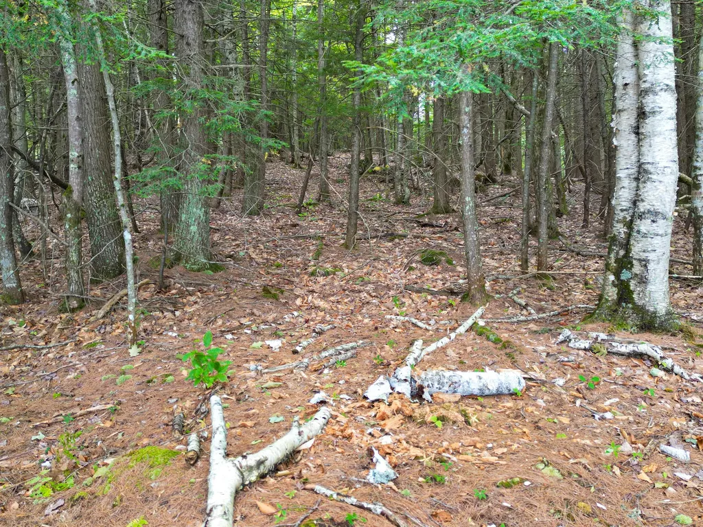0 Osprey Point Belgrade ME 04917