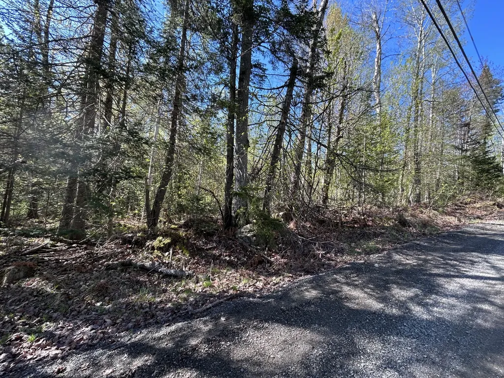 M8/L17A Bald Mount Road Rangeley Plt ME 04964