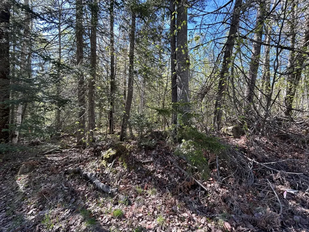 M8/L17A Bald Mount Road Rangeley Plt ME 04964