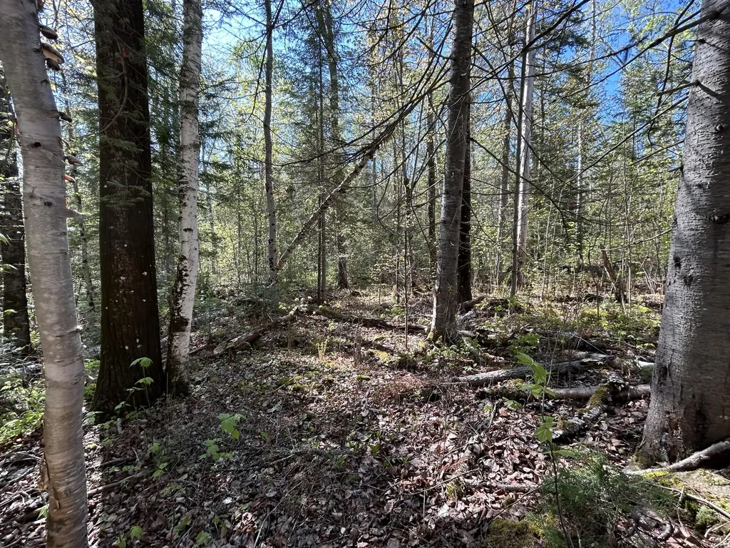 M8/L17A Bald Mount Road Rangeley Plt ME 04964