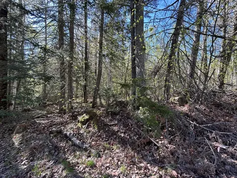 M8/L17A Bald Mount Road Rangeley Plt ME 04964