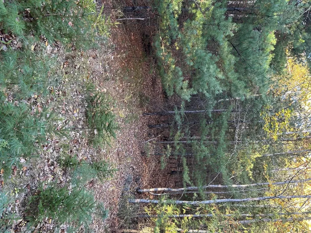 M15 L23 Varnumville Road Brooksville ME 04617