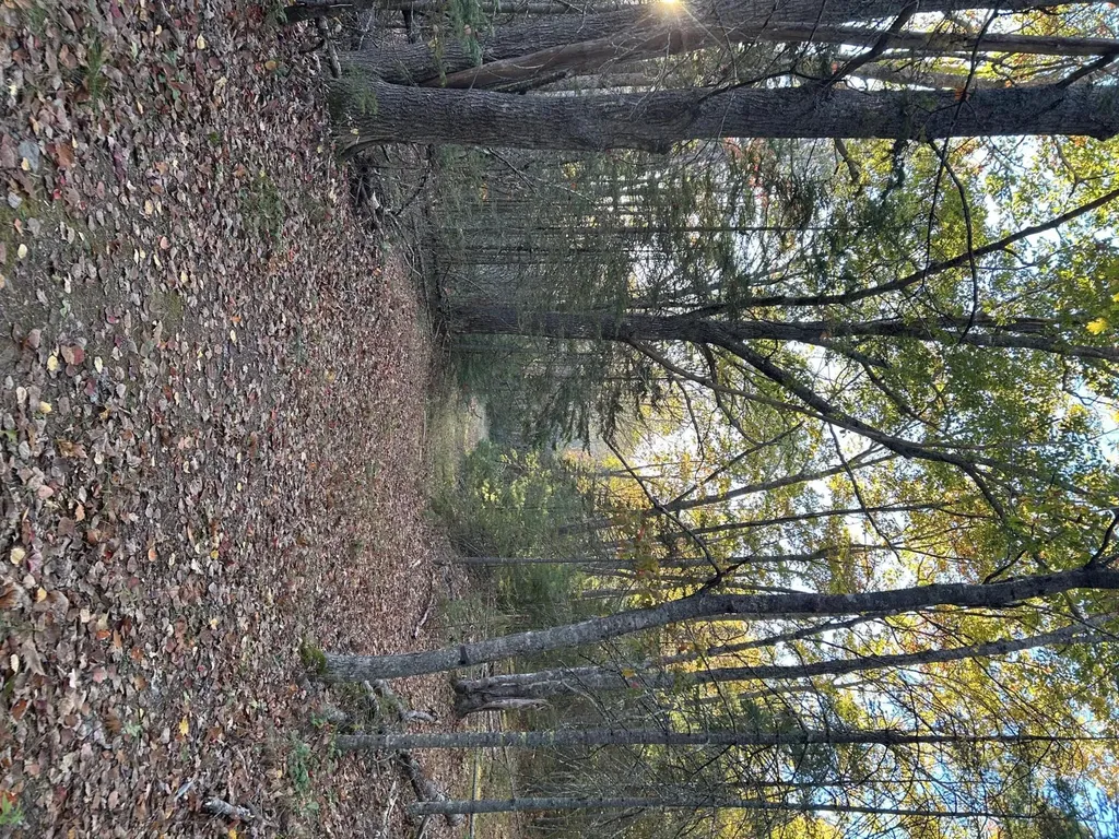 M15 L23 Varnumville Road Brooksville ME 04617