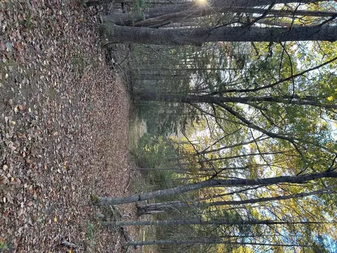 M15 L23 Varnumville Road Brooksville ME 04617