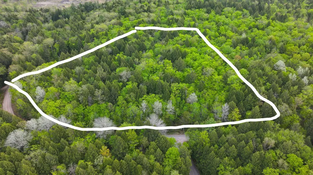 MU42 L50 Timber Bay Shores Road Lovell ME 04051
