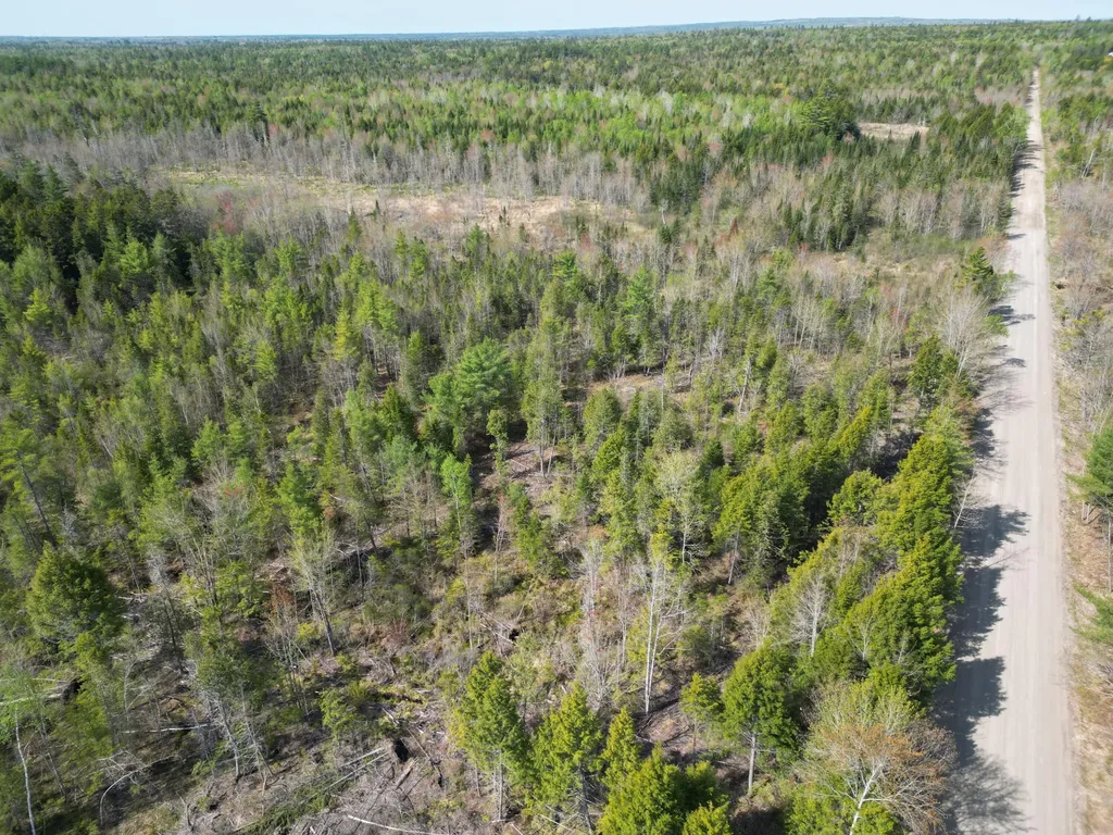 Lot 1 Mattamiscontis Road Howland ME 04448
