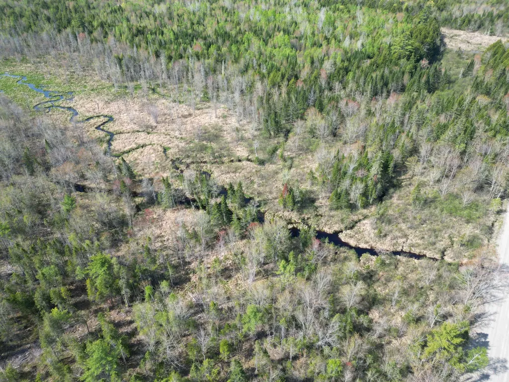 Lot 1 Mattamiscontis Road Howland ME 04448