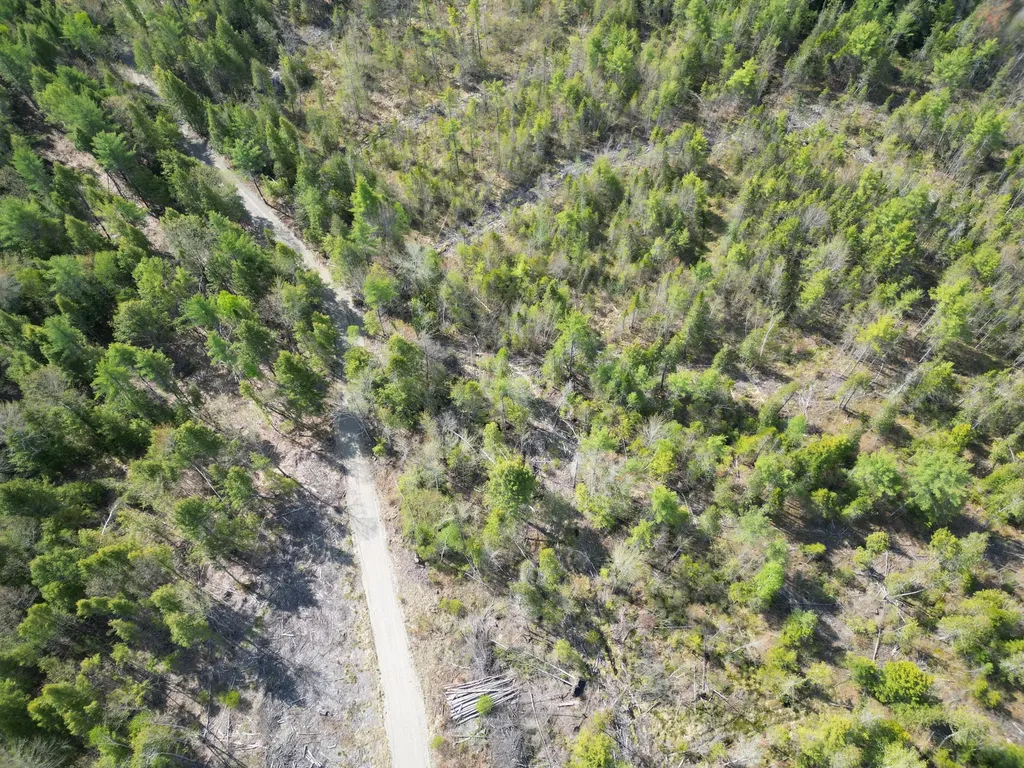 Lot 1 Mattamiscontis Road Howland ME 04448
