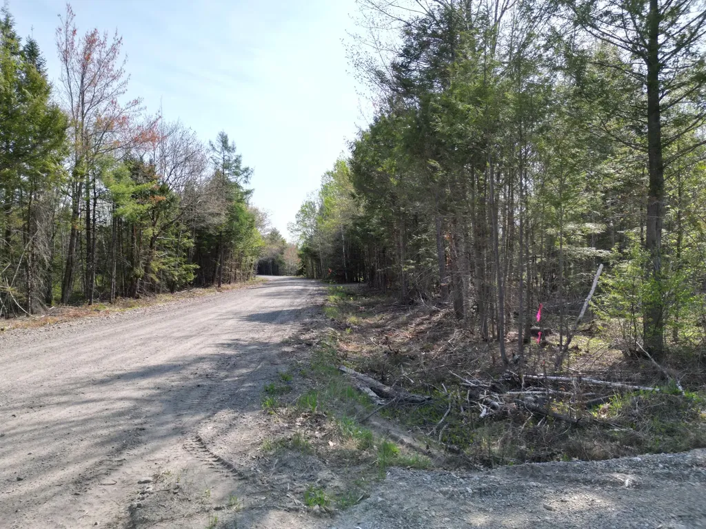 Lot 1 Mattamiscontis Road Howland ME 04448