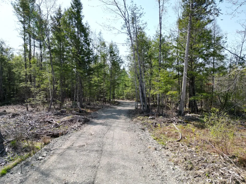 Lot 1 Mattamiscontis Road Howland ME 04448