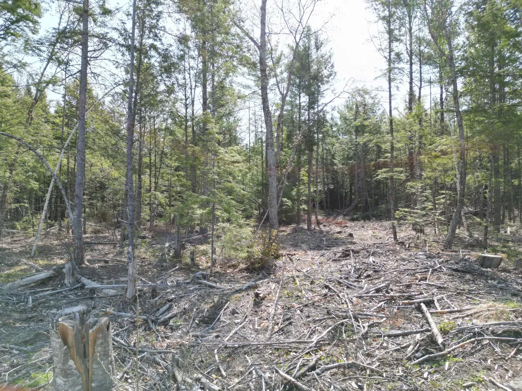Lot 1 Mattamiscontis Road Howland ME 04448