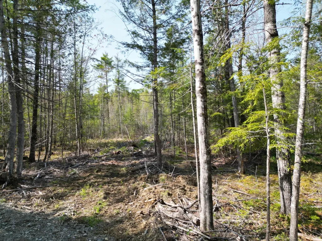 Lot 1 Mattamiscontis Road Howland ME 04448