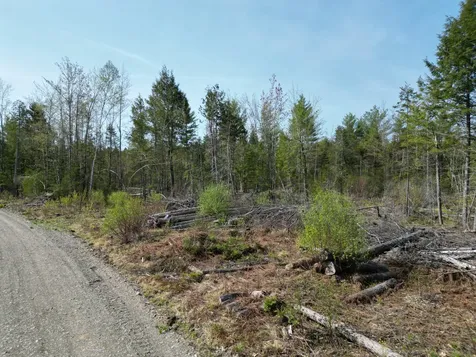 Lot 1 Mattamiscontis Road Howland ME 04448