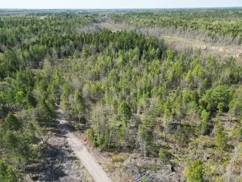 Lot 1 Mattamiscontis Road Howland ME 04448