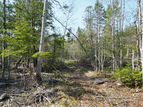 Lot 1 Mattamiscontis Road Howland ME 04448
