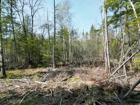Lot 1 Mattamiscontis Road Howland ME 04448