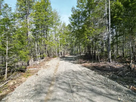 Lot 1 Mattamiscontis Road Howland ME 04448