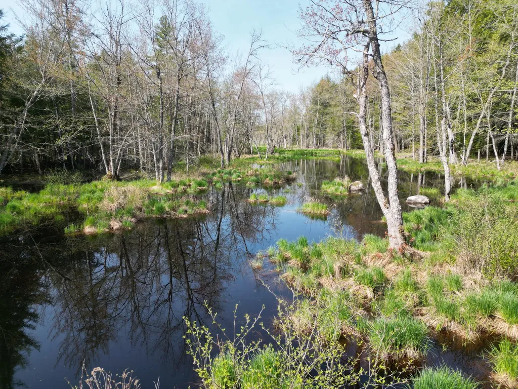 Lot 2 Off Mattamiscontis Road Howland ME 04448