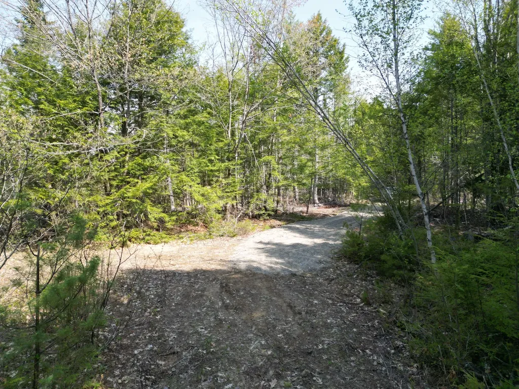 Lot 2 Off Mattamiscontis Road Howland ME 04448
