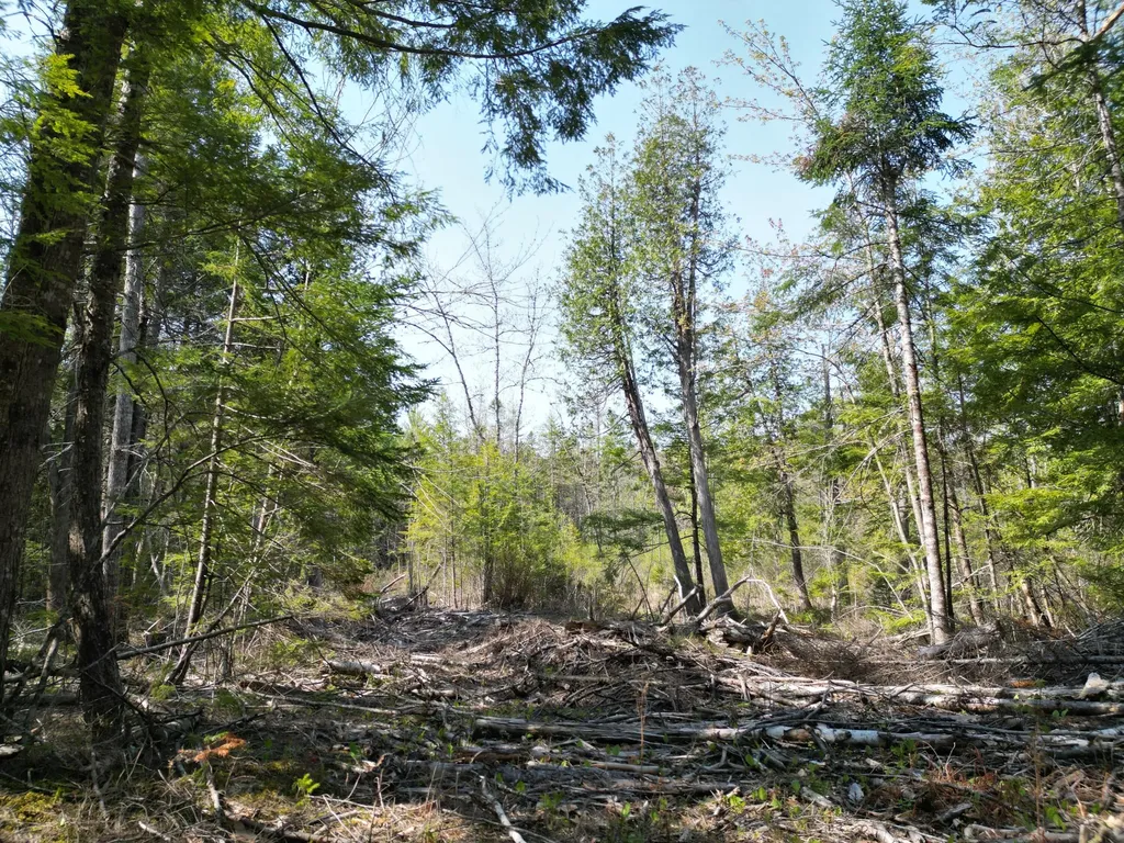 Lot 2 Off Mattamiscontis Road Howland ME 04448