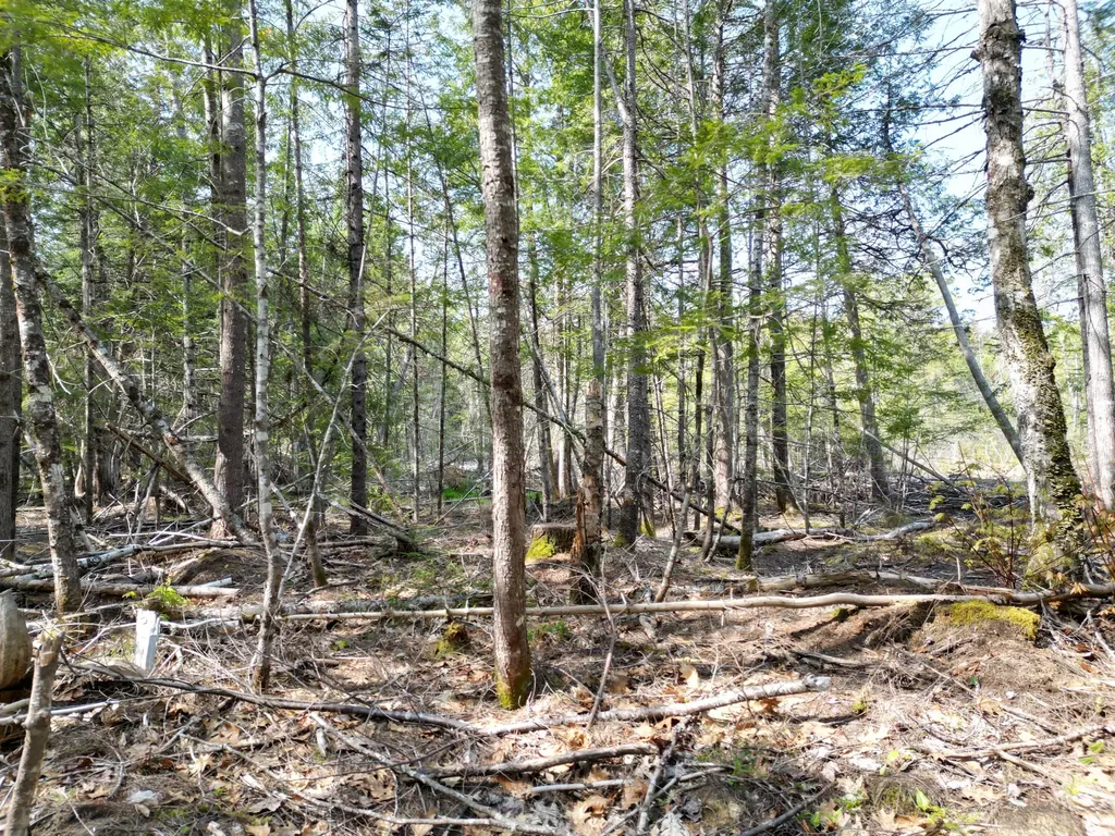 Lot 2 Off Mattamiscontis Road Howland ME 04448