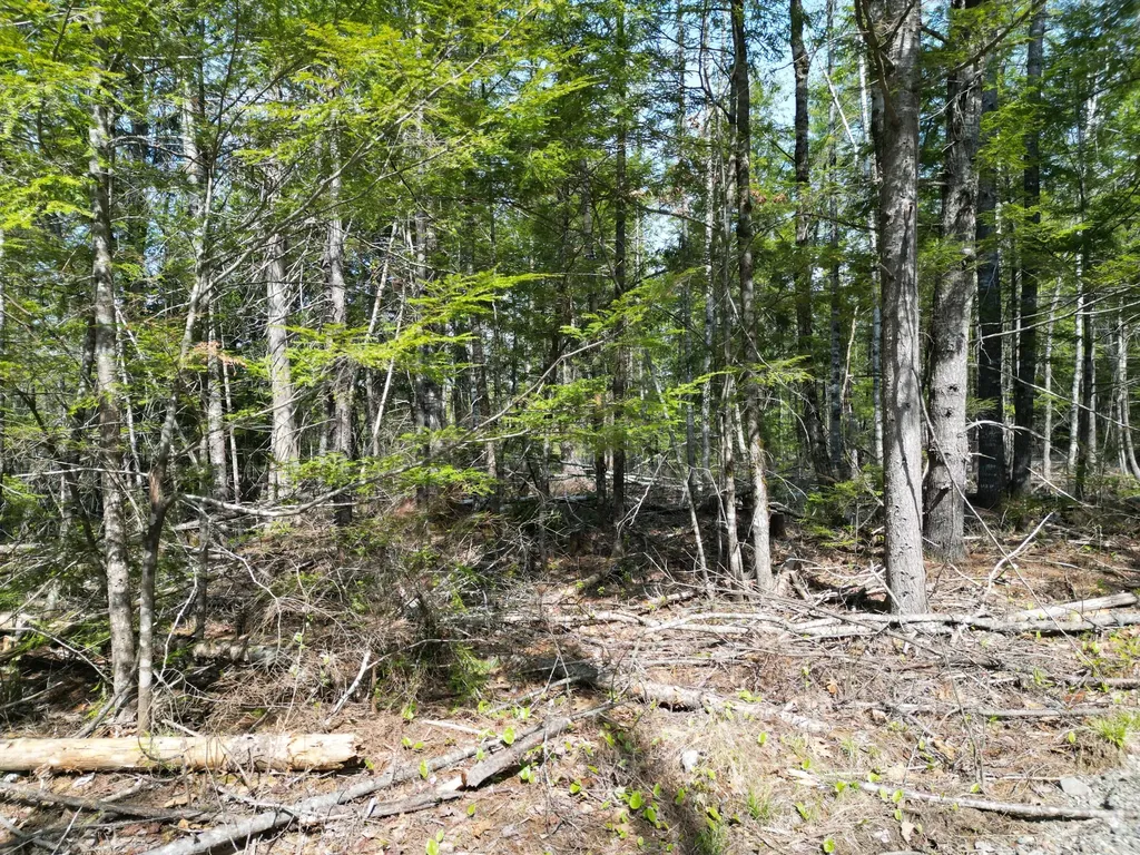 Lot 2 Off Mattamiscontis Road Howland ME 04448