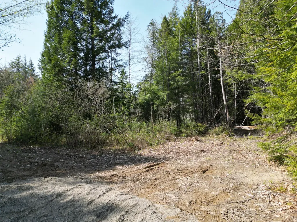Lot 2 Off Mattamiscontis Road Howland ME 04448