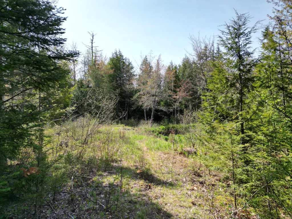 Lot 2 Off Mattamiscontis Road Howland ME 04448