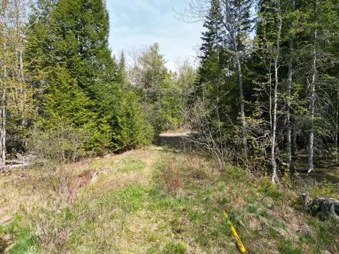 Lot 2 Off Mattamiscontis Road Howland ME 04448