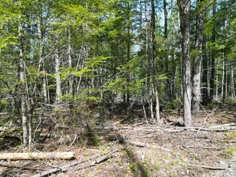 Lot 2 Off Mattamiscontis Road Howland ME 04448