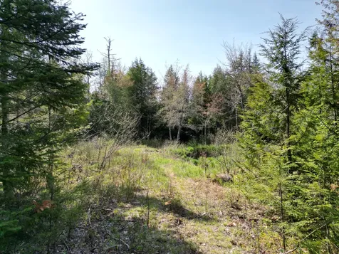 Lot 2 Off Mattamiscontis Road Howland ME 04448