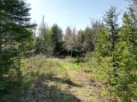 Lot 2 Off Mattamiscontis Road Howland ME 04448