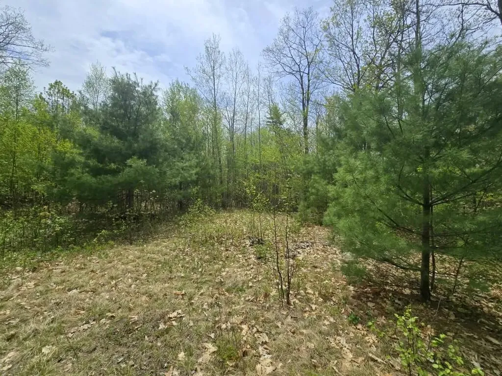950 School Street Perkins Twp ME 04294