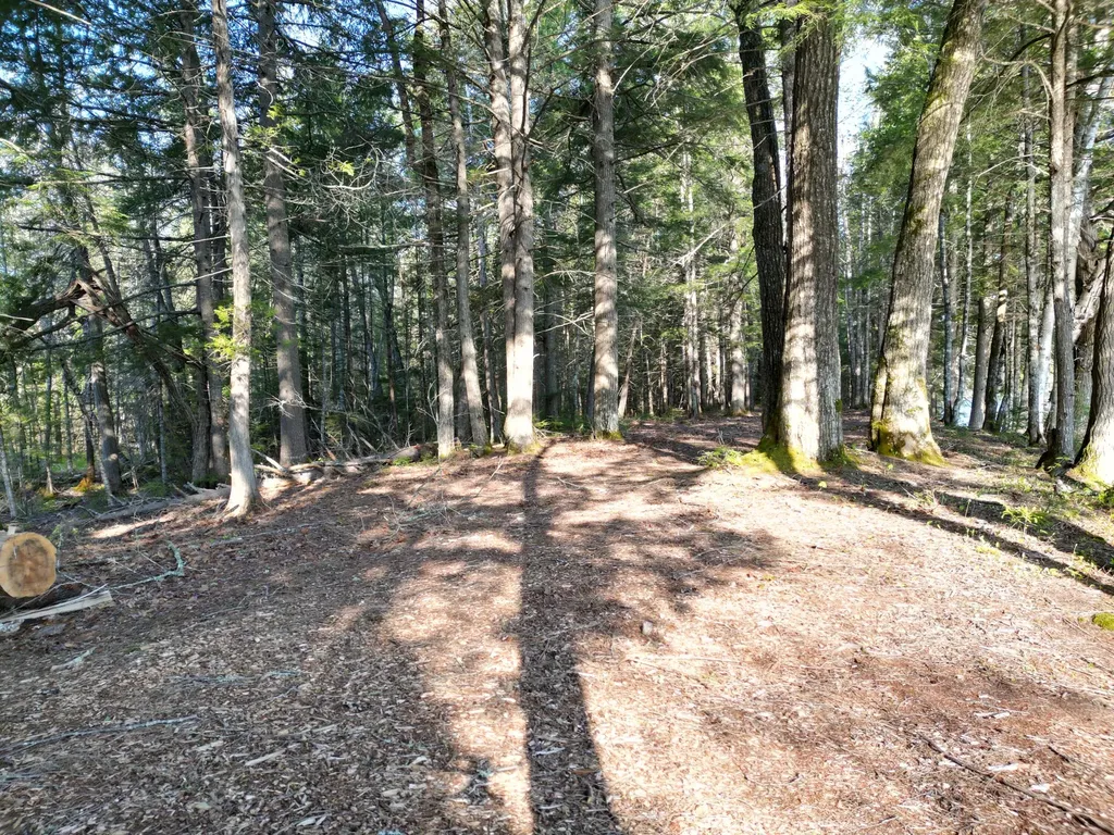 21 Angel Lane Medford ME 04463