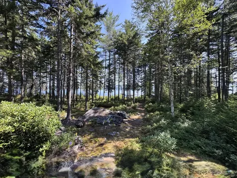 M1 L12-10 Toothaker Island Rangeley Plt ME 04970