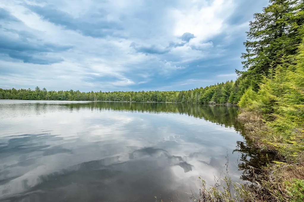 Lot A6 Jaquith Pond Road Brownville ME 04414