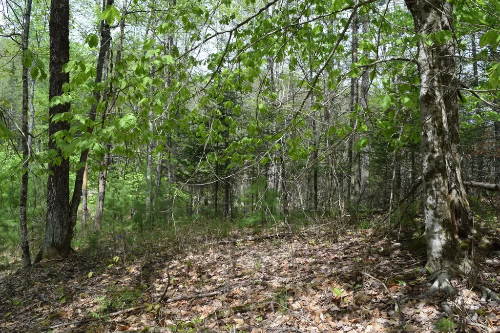 Lot #30 Potter Road Lisbon ME 04252
