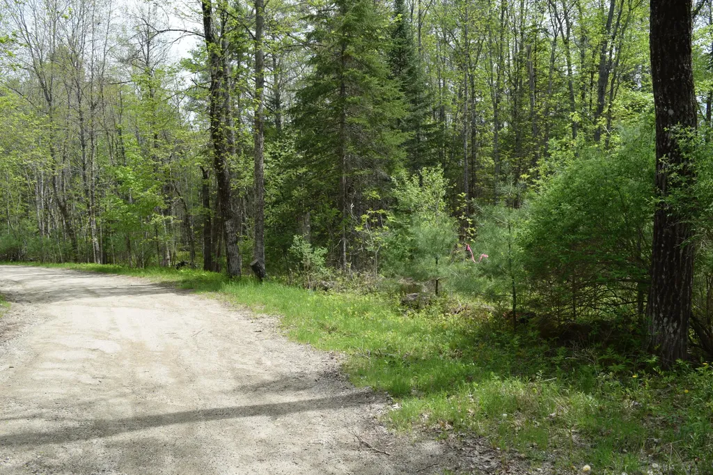 Lot #30 Potter Road Lisbon ME 04252